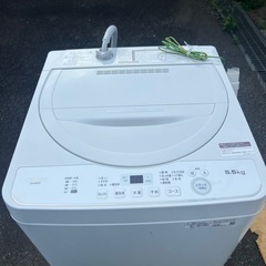 美品　SHARP　洗濯機　2023年　の画像