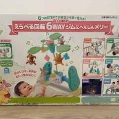 プーメリーの画像