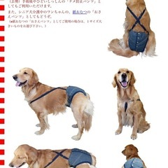 犬用　サニタリーパンツ　マナーパンツ L デニムの画像