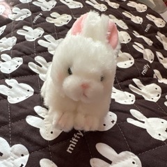ぬいぐるみセットの画像