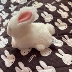ぬいぐるみセットの画像