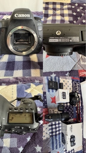 キャノン Canon EOS 6D MarkII キャノン 70-300mm 1:4-5.6 ISⅡUSM フード付き単焦50mm