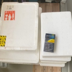 めだか用に発泡スチロール箱とNVBOX13を2個を
ミジンコ少量と交換してくれる方の画像