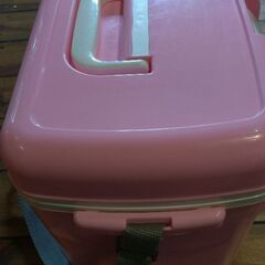 日本製コンパクトな軽量クーラーBOX　13リットルの画像