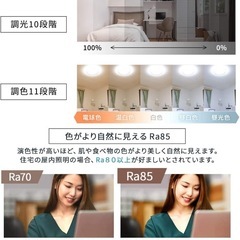 アイリスオーヤマ シーリングライト 12畳 LED 5200lmの画像