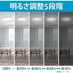 HotaluX(ホタルクス) <日本製> LEDシーリングライト HLDZ12209 適用畳数~12畳の画像