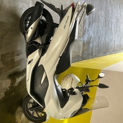 pcx125 81の画像
