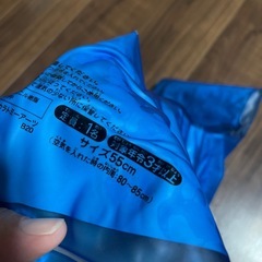 アナ雪浮き輪の画像