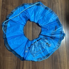 アナ雪浮き輪の画像