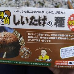 しいたけ栽培用駒菌の画像