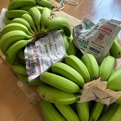 【値下げ】3尺台湾バナナの画像