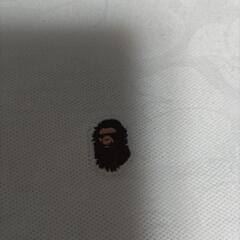 ポロシャツの画像