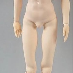 オビツ65 男性ボディ （ノーマル系かホワイト系の肌色）を…