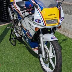 NS-1ロスマンズカラーフルオーバーオール済！の画像