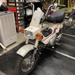 【レア】ホンダ シャリィ CF50 6Vの画像