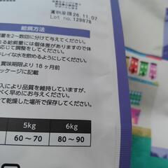 エルモキャットフードの画像