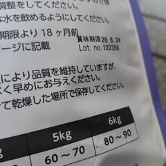 エルモキャットフードの画像