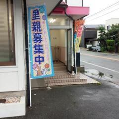 No2 Sサイズ　ハーネスやレインコートなど色々セットの画像