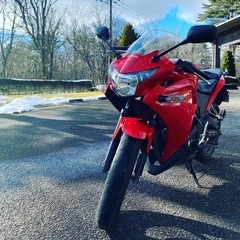 ホンダ CBR250R ABS MC41 2013の画像