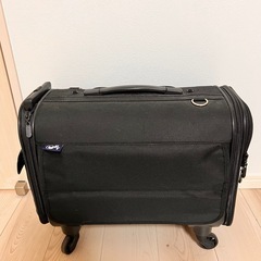 ペットキャリーバッグの画像