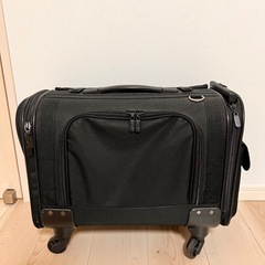 ペットキャリーバッグの画像