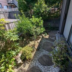 家具家電付き　3 DK　戸建て　【初期費用10万円以下】 - 秦野市