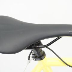 SURLY STEAM 「サーリー」ROLLER 年式不明 ピストバイクの画像