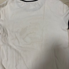 LACOSTEレディースTシャツの画像