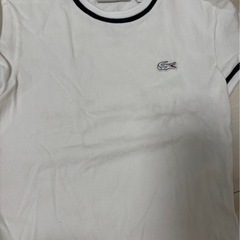 LACOSTEレディースTシャツの画像