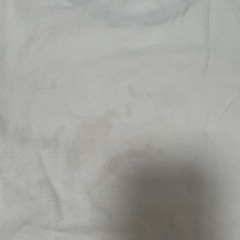 LACOSTEレディースTシャツの画像