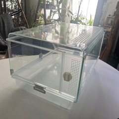 ハムスタークリアゲージの画像