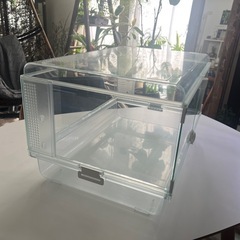 ハムスタークリアゲージの画像