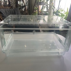 ハムスタークリアゲージの画像