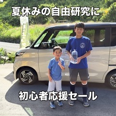 メダカ1匹100円セール【初心者限定】の画像