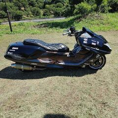 ヤマハ　マグザム　250　走行距離8000㎞　の画像