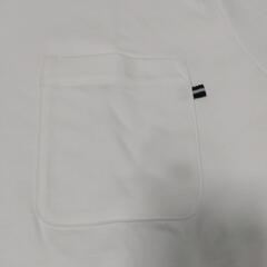白Tシャツの画像