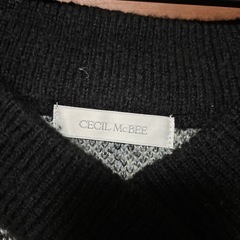 CECIL Mc BEE セットアップの画像