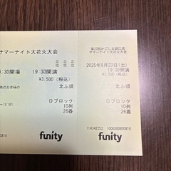 第23回かごしま錦江湾サマーナイト大花大会の画像