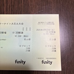 第23回かごしま錦江湾サマーナイト大花大会の画像