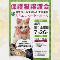 7/26（土）島忠ホームズさいたま中央店保護猫譲渡会
