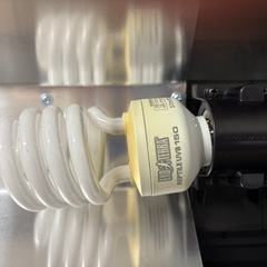 爬虫類用品
の画像