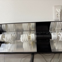 爬虫類用品
の画像