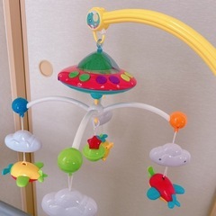メリーの画像