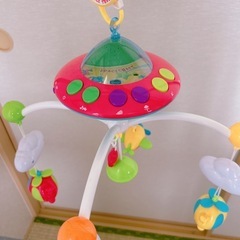 メリーの画像