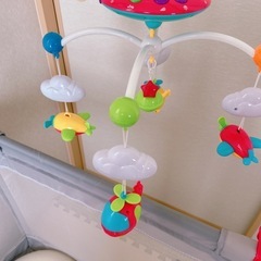 メリーの画像
