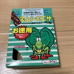鈴虫飼育セットの画像