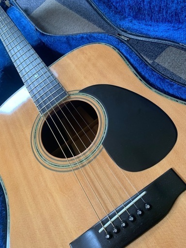 モーリス TFW-50 ハカランダ仕様 (Qoo) 長船の弦楽器、ギターの