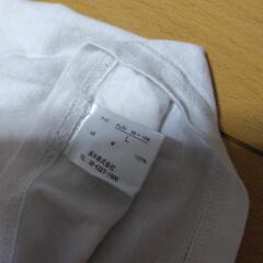 白TシャツメンズMの画像
