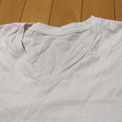 白TシャツメンズMの画像