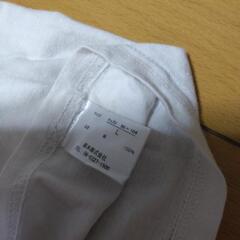 白TシャツメンズMの画像